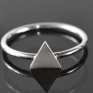 ANILLO APU