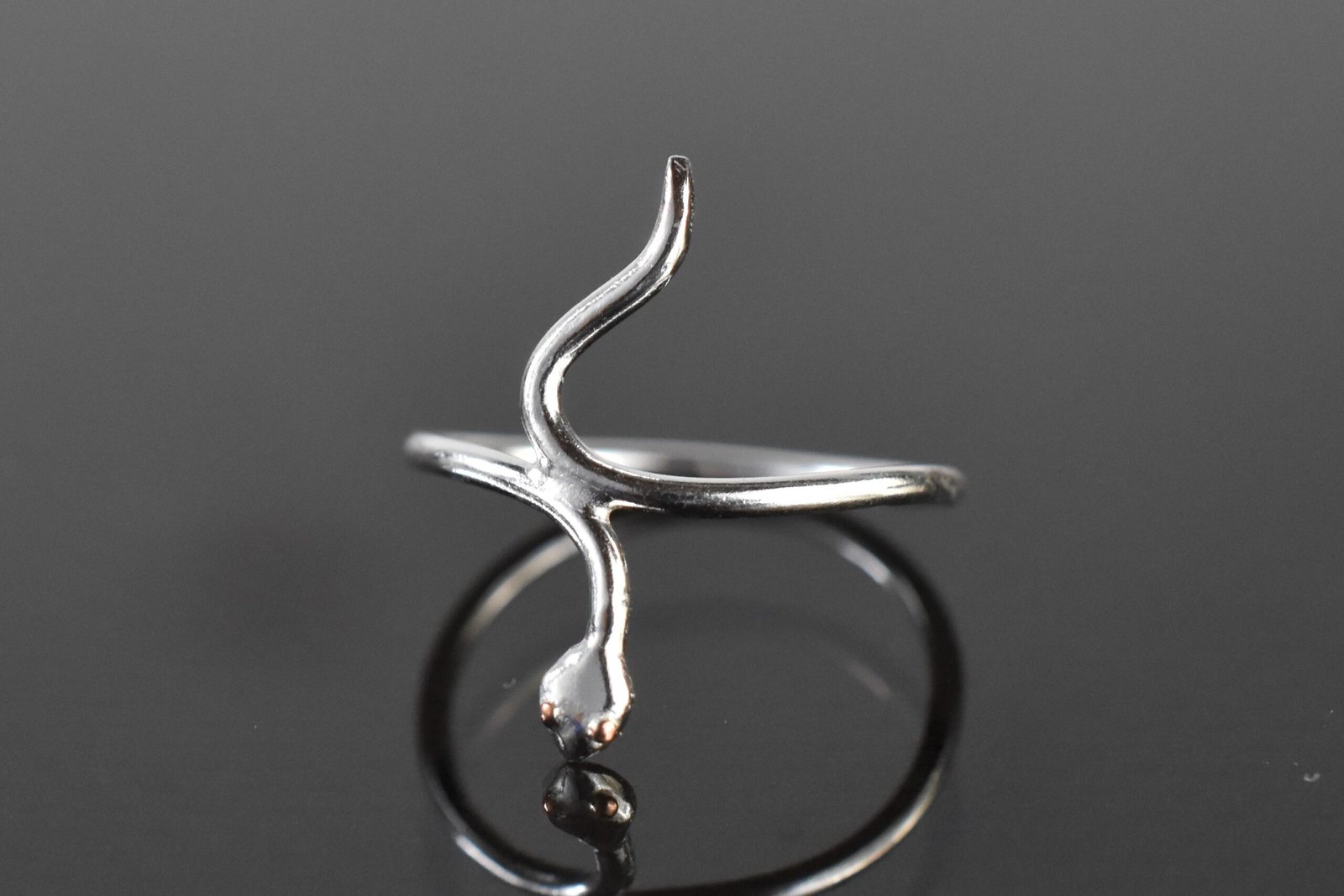 SERPIENTE - Imagen 2